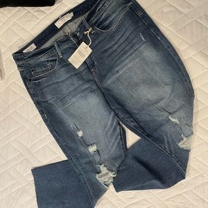 Torrid high rise straight jeans